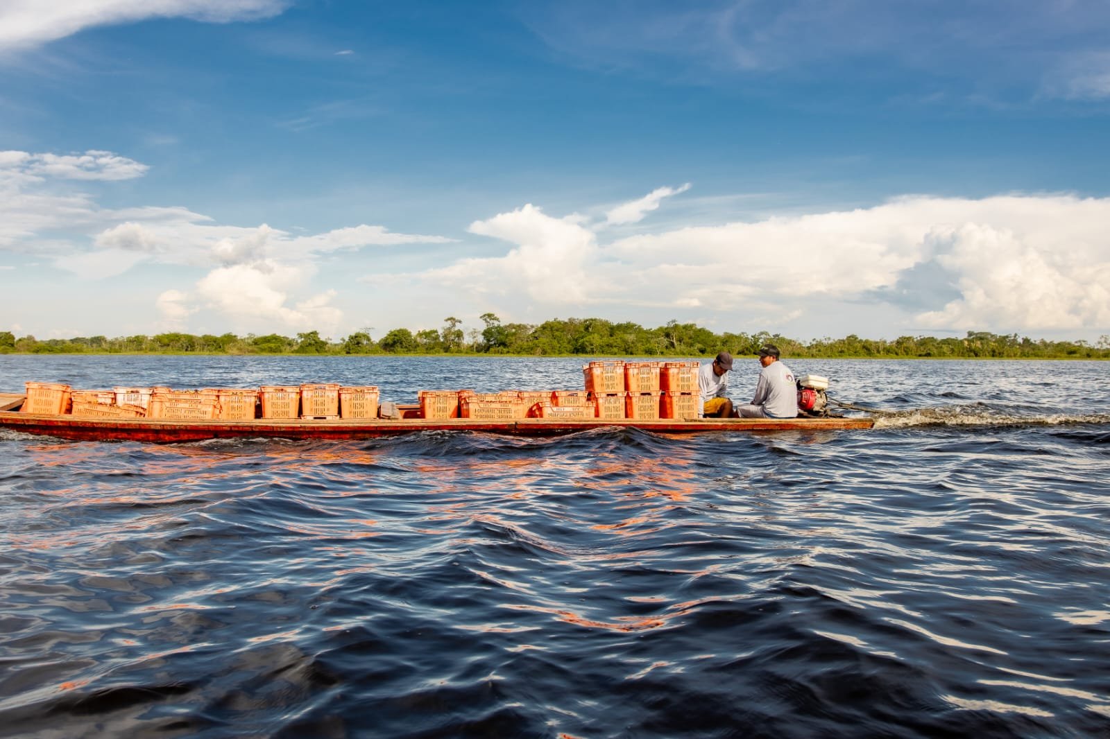 Trabajador realizando control de calidad del camu camu en planta agroindustrial de COOPAY en la Amazonía peruana.